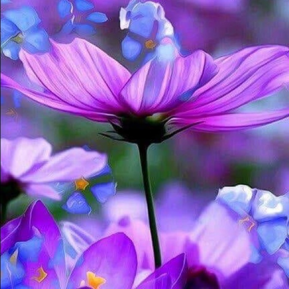 Meet your Posher, Con